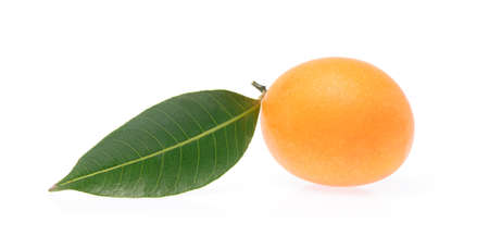 Sweet Marian plum fruit isolated on white background Mayongchid or Maprang Marian Plum.の写真素材
