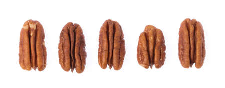 collection of Pecan nuts isolated on white background