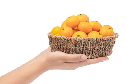 hand holding orange in basket isolated on white background