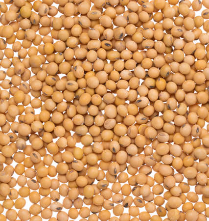 background of soybeans