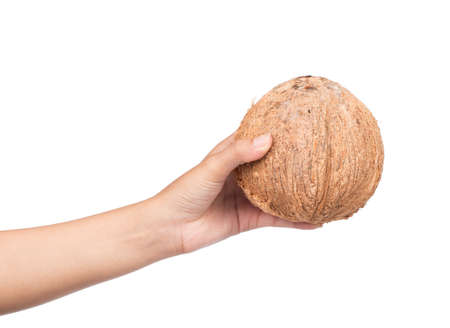 hand holding Coconut Old brown isolated on white background