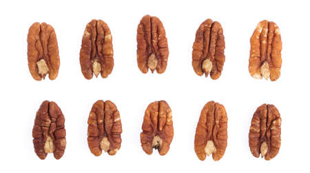 collection of Pecan nuts isolated on white background