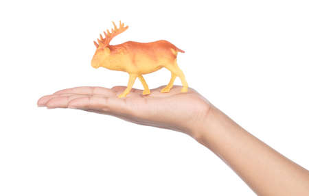 hand holding Toy deer made of plastic isolated on white backgroundの写真素材