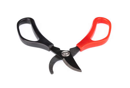 secateurs for cutting branches isolated on white background