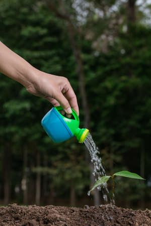 hand with watering can seedling in the garden