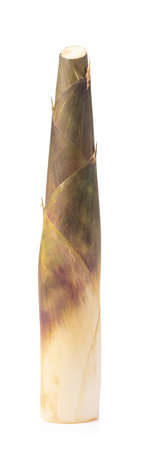 Bamboo shoot isolated on a white background