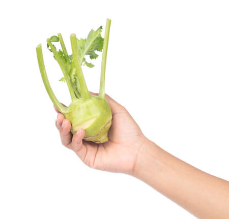 hand holding fresh kohlrabi (Brassica oleracea) isolated on white backgroundの写真素材