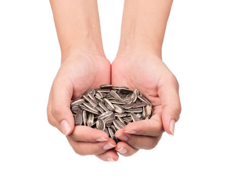 hand holding sun flower seeds isolated on white background