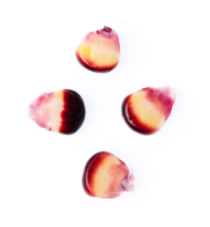 purple corn isolated on a white background