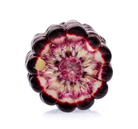 purple corn isolated on a white backgroundの写真素材