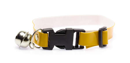 A yellow dog collar isolated on a white backgroundの写真素材