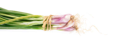onion spring isolated on white backgroundの写真素材