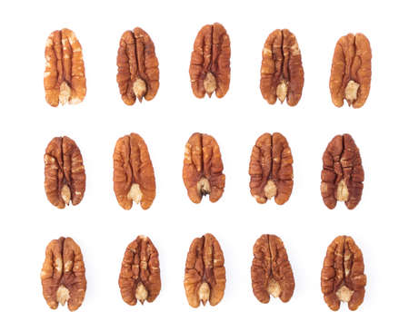 collection of Pecan nuts isolated on white backgroundの写真素材