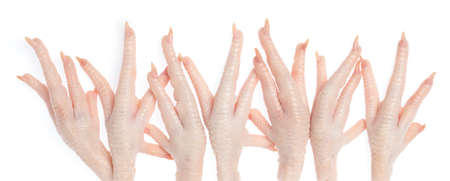 Raw chicken feet isolated on white background