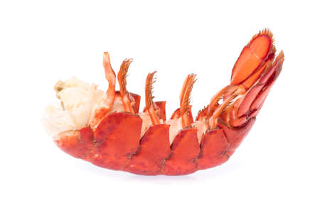 tail of Shrimp Lobster isolated on white backgroundの写真素材