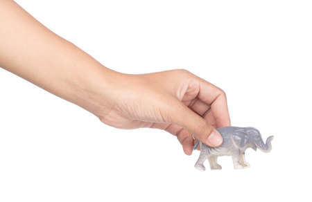 hand holding toy elephant isolated on white backgroundの写真素材