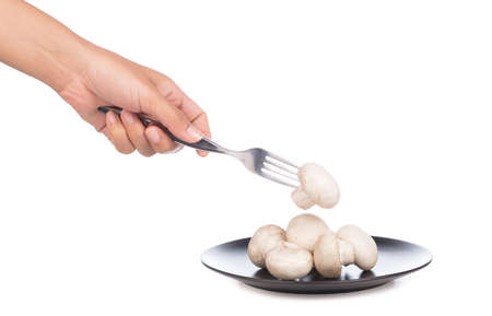 hand holding Champignon Mushroom with fork on dish isolated on white background