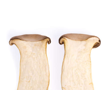 Eryngii Mushroom isolated from the white background.の写真素材