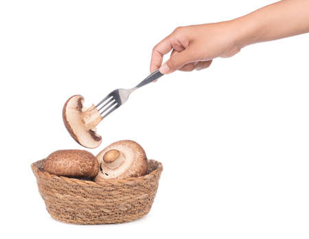 hand holding fork with portobello mushrooms isolated on white background