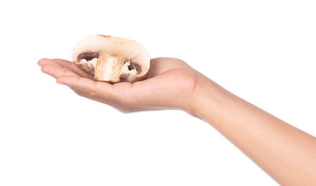 hand holding portobello mushrooms, isolated on white background.