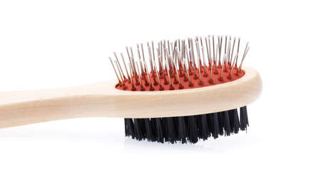 Comb for pet grooming isolated on white background.の写真素材