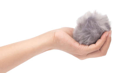 hand holding grey Fur ball isolated on white backgroundの写真素材