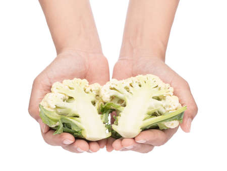 hand holding fresh of Cauliflower isolated on white backgroundの写真素材