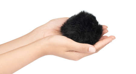 hand holding black Fur ball isolated on white backgroundの写真素材