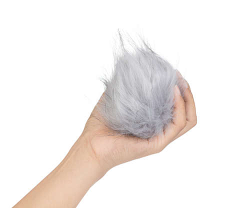 Hand holding Grey fur ball isolated on white backgroundの写真素材