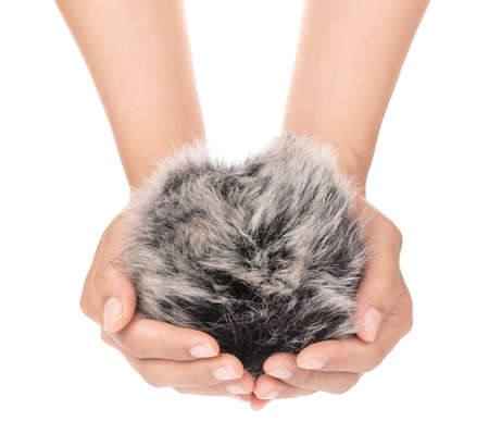 hand holding Fur ball isolated on white backgroundの写真素材