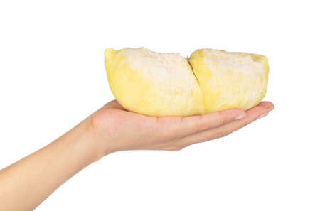 slice of durian isolated on white background