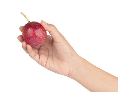Hand holding Passion fruit isolated on the white background.の写真素材