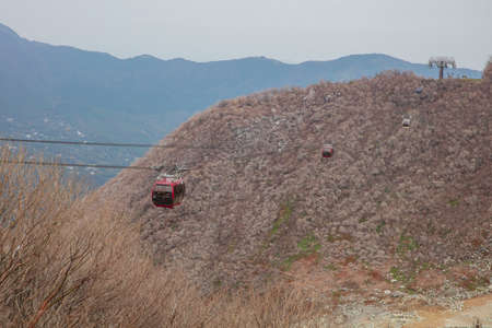 Owakudani is geothermal valley with active sulfur vents and hot springs in Hakoneの写真素材