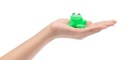 hand holding Plastic Toy Animal isolated on white backgroundの写真素材