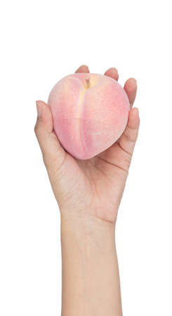 Hand holding Artificial Pink Peach Model isolated on white backgroundの写真素材