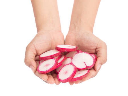 hand holding slice red radish isolated on white backgroundの写真素材