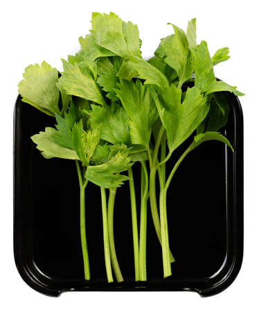 Fresh parsley on plate isolated on white background