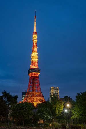 TOKYO JAPAN May - 14, 2019: Colorful Tokyo tower at night.