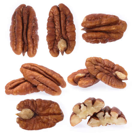 collection of Pecan nuts isolated on white background