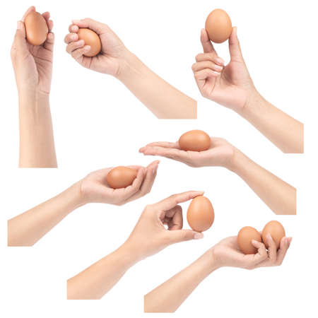 Collection of hand holding eggs isolated on white background.の写真素材