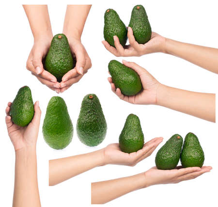 Collection of hand holding avocado isolated on white background.の写真素材