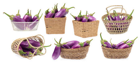 Collection Of eggplant purple on basket isolated on white background.の写真素材