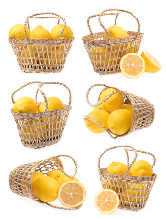 Collection of Lemons on basket Isolated on white background.の写真素材
