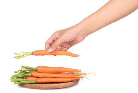 hand holding fresh baby carrot on dish  isolated on white background.の写真素材