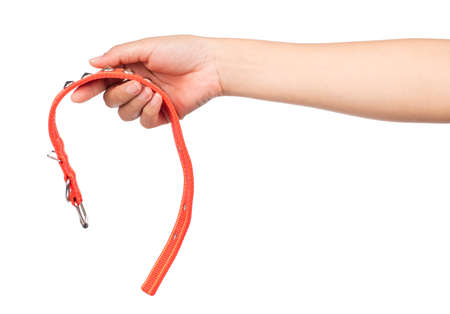 hand holding Red of dog collar isolated on a white background