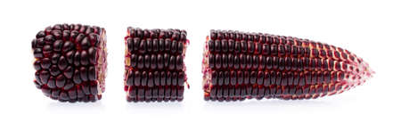 purple corn isolated on a white background