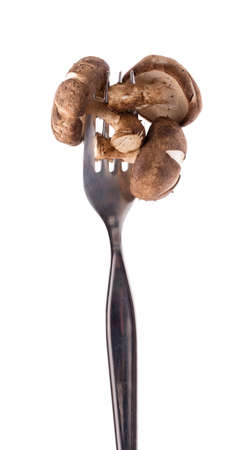 a fork with mushrooms isolated on white background.の写真素材
