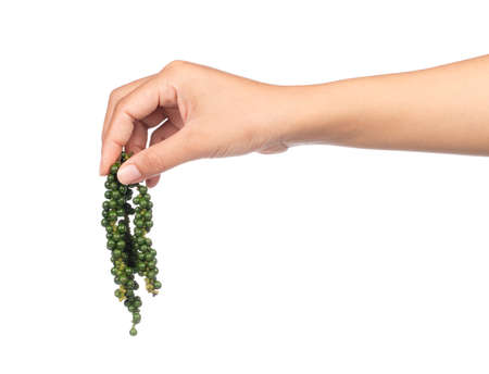 hand holding fresh pepper isolated on white backgroundの写真素材