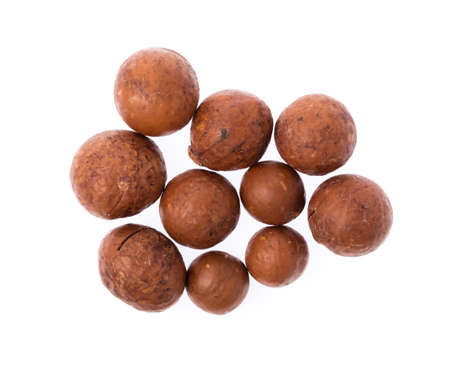 Macadamia nuts isolated on white background. Top view. Flat lay.の写真素材