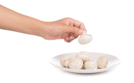 hand holding Champignon Mushroom on dish isolated on white backgroundの写真素材